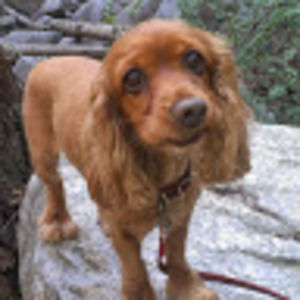 Meet your Posher, Marisa